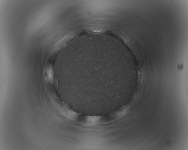 X0000111500143200907141321