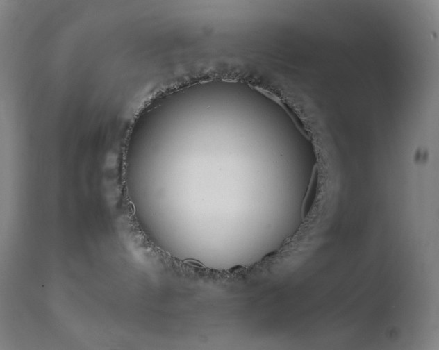 X0000111500144200907141321