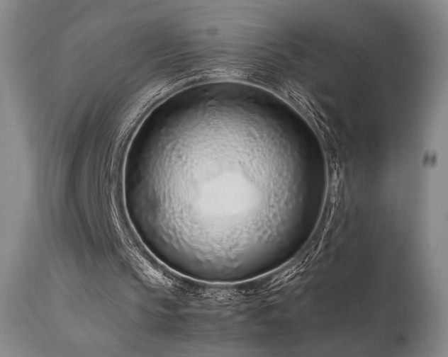 X0000111500145200907141321