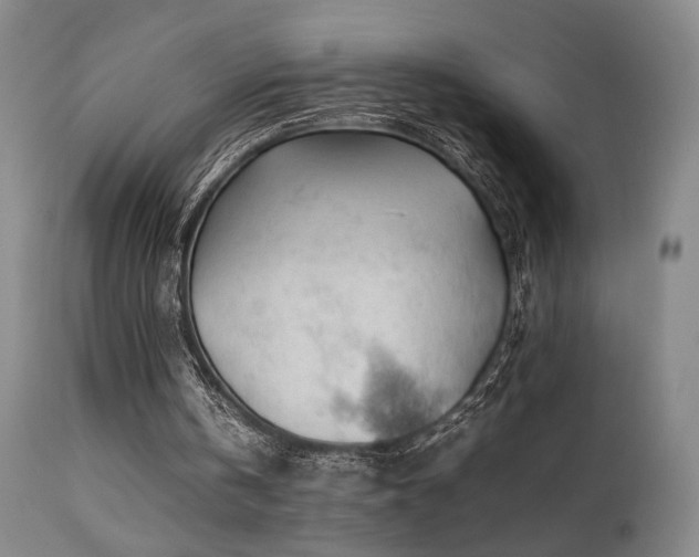 X0000111500146200907141321