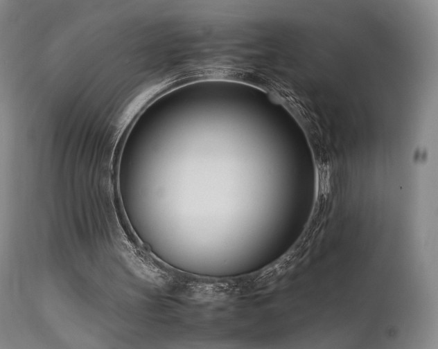 X0000111500147200907141321