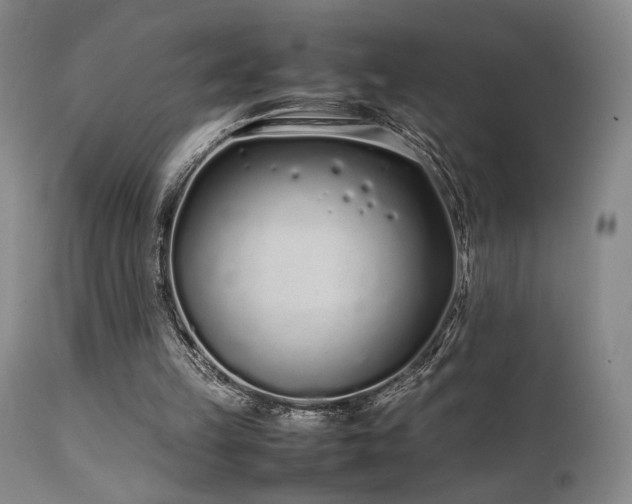 X0000111500149200907141321