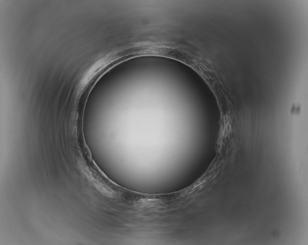 X0000111500150200907141321