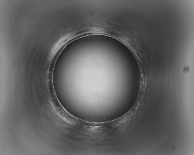 X0000111500151200907141321