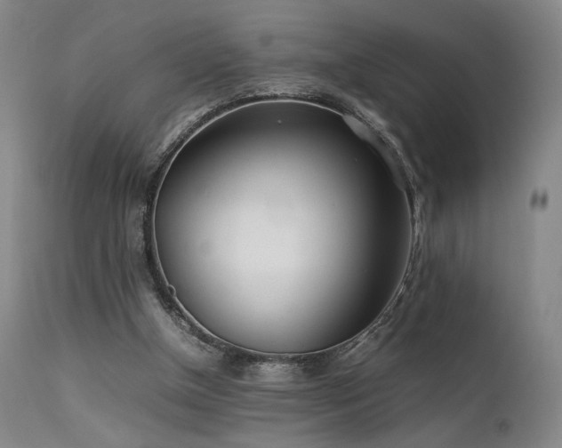 X0000111500154200907141321