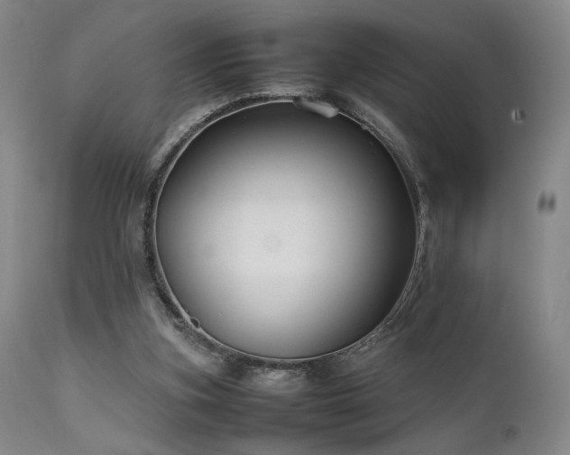 X0000111500155200907141321