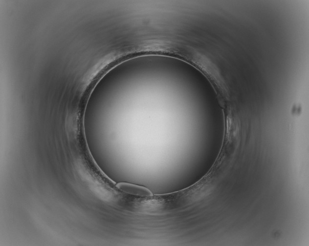 X0000111500156200907141321