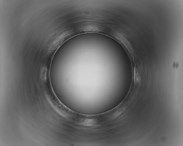X0000111500157200907141321