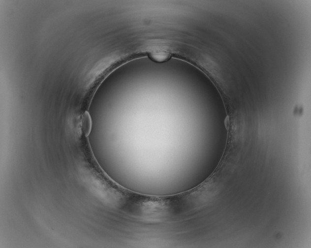 X0000111500160200907141321