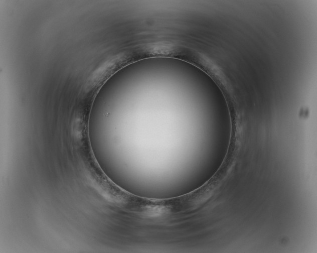 X0000111500161200907141321
