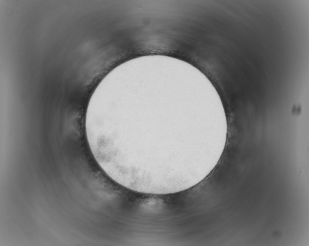 X0000111500162200907141321