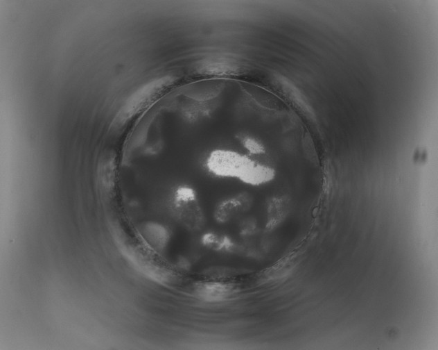 X0000111500163200907141321