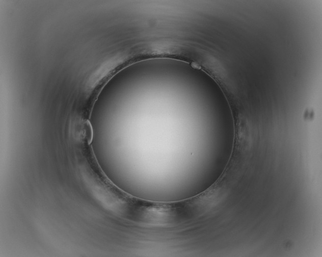 X0000111500164200907141321