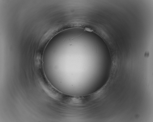 X0000111500166200907141321