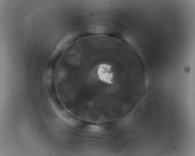 X0000111500167200907141321