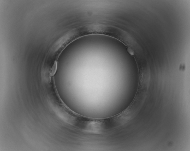 X0000111500168200907141321
