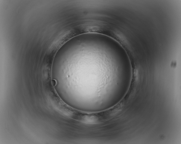 X0000111500169200907141321