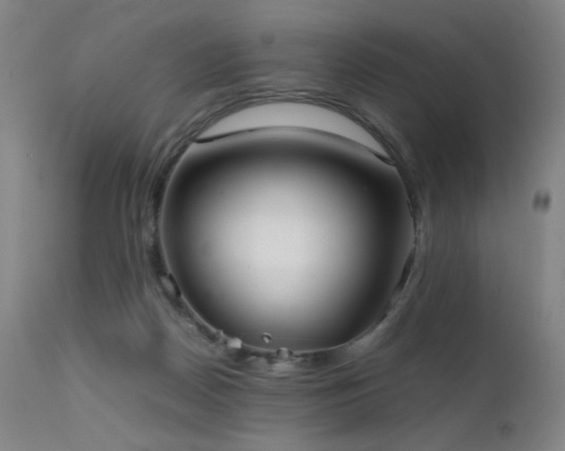 X0000111500170200907141321