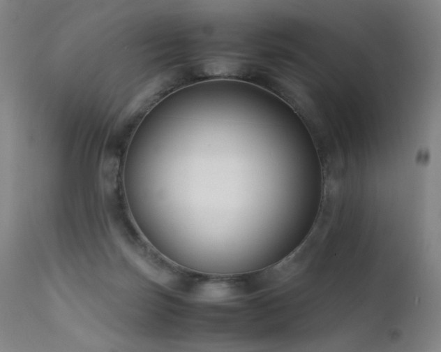 X0000111500171200907141321