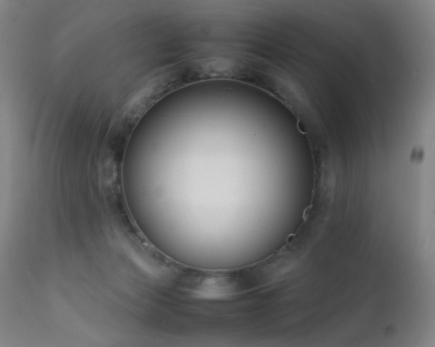 X0000111500173200907141321