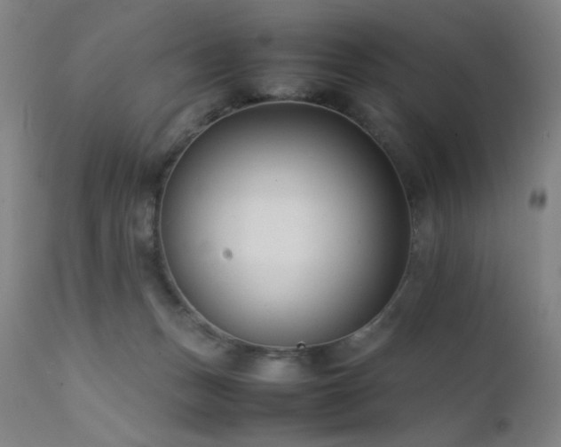 X0000111500175200907141321