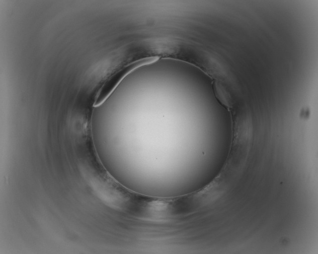 X0000111500176200907141321