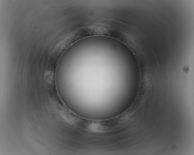 X0000111500177200907141321