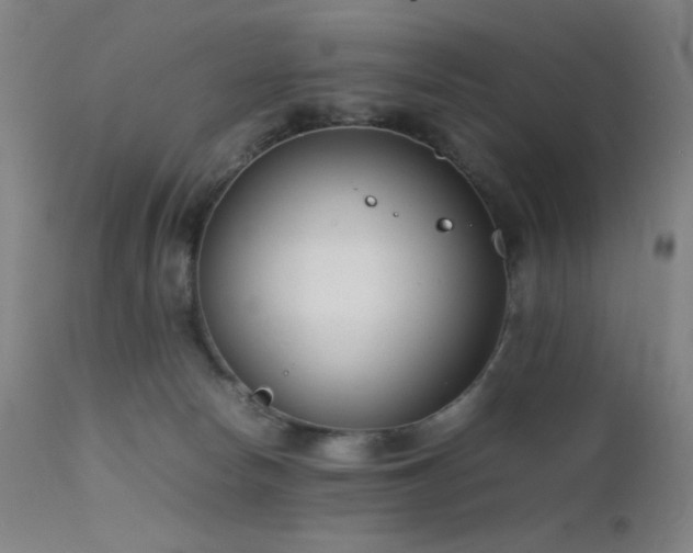 X0000111500178200907141321