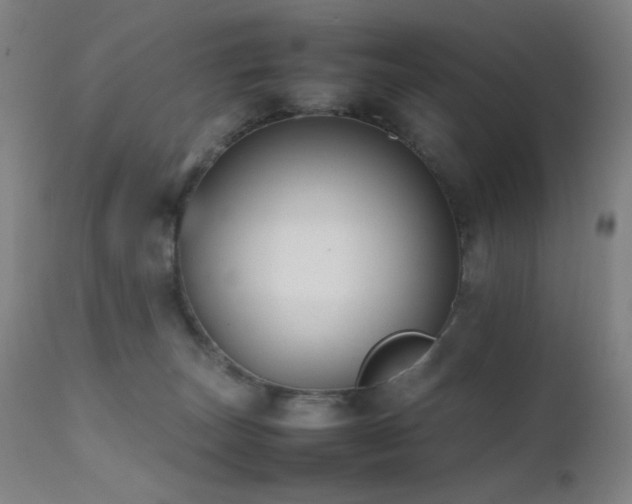 X0000111500179200907141321