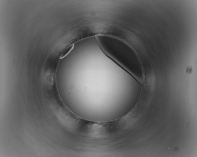 X0000111500180200907141321
