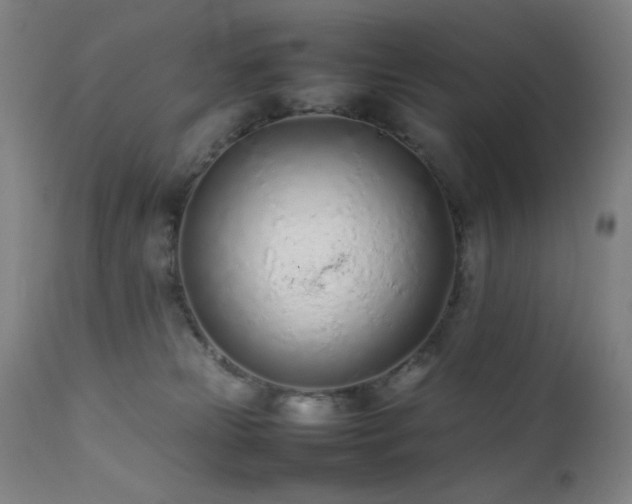 X0000111500181200907141321