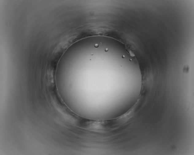 X0000111500182200907141321