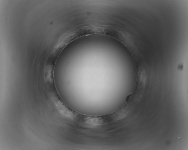 X0000111500185200907141321