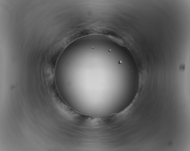 X0000111500186200907141321