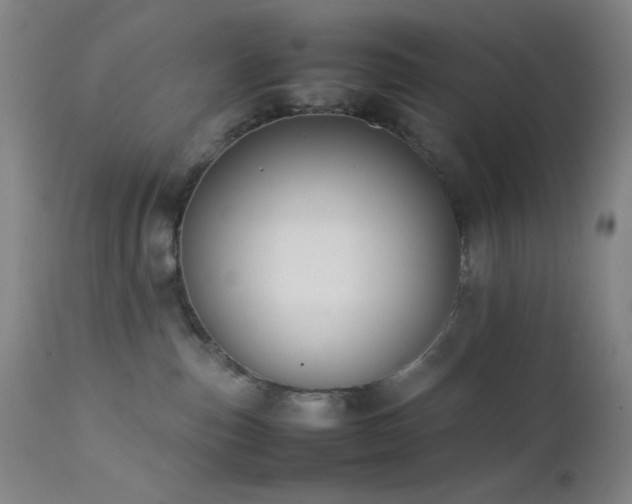 X0000111500187200907141321