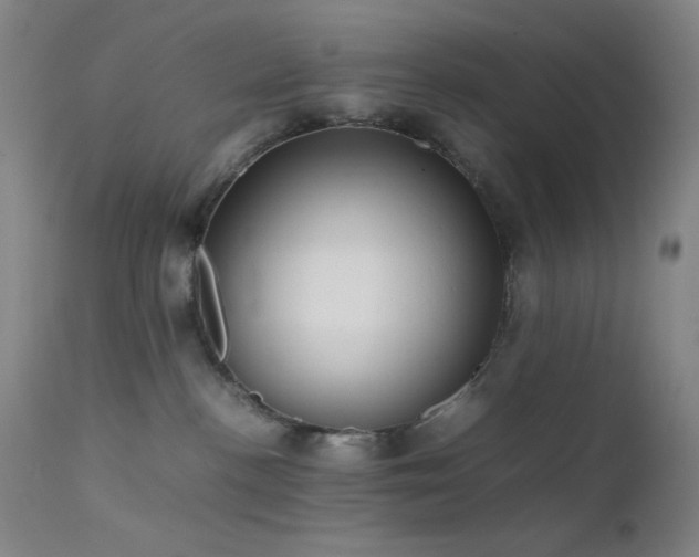 X0000111500188200907141321