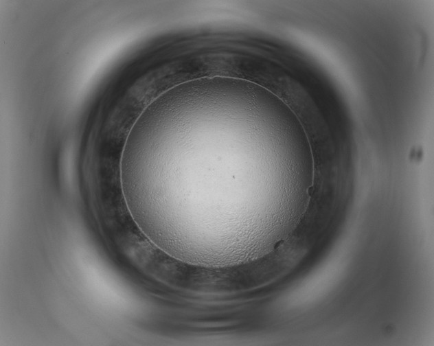 X0000111500189200907141321