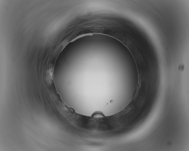 X0000111500190200907141321