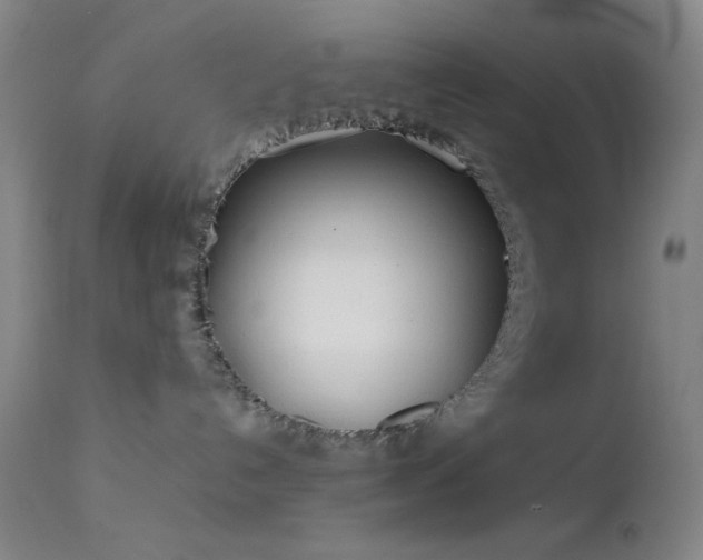 X0000111500192200907141321