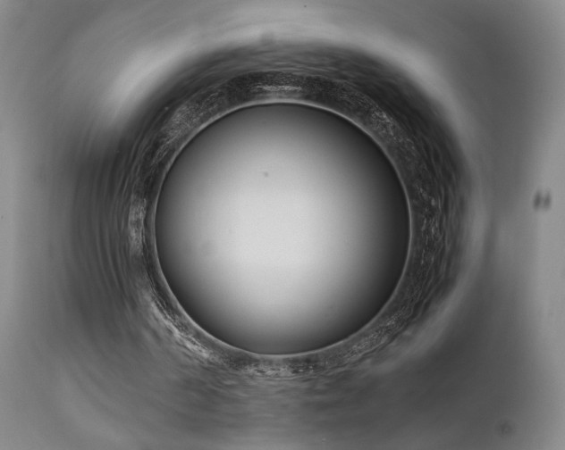 X0000111500194200907141320
