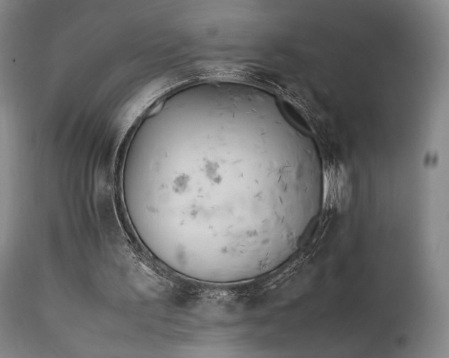 X0000111500195200907141320