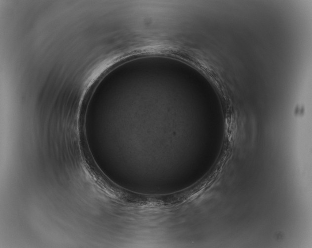 X0000111500196200907141320