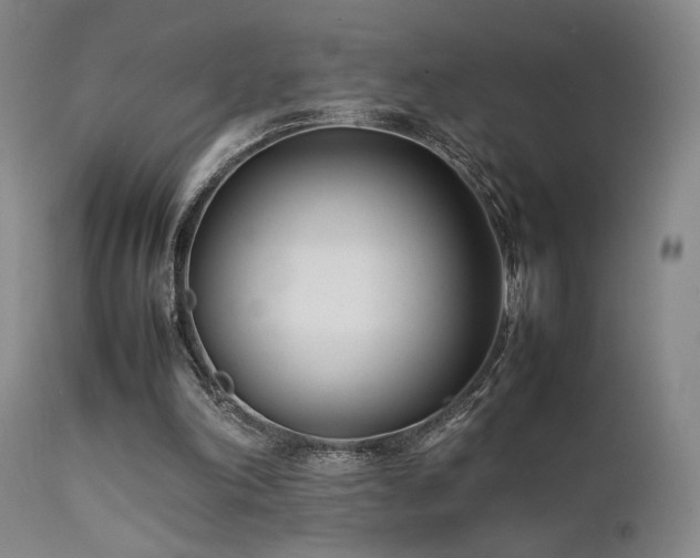 X0000111500198200907141320