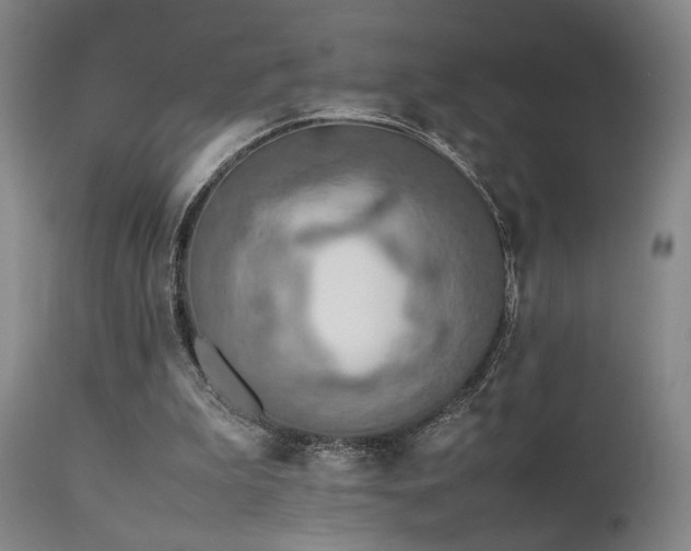 X0000111500199200907141320
