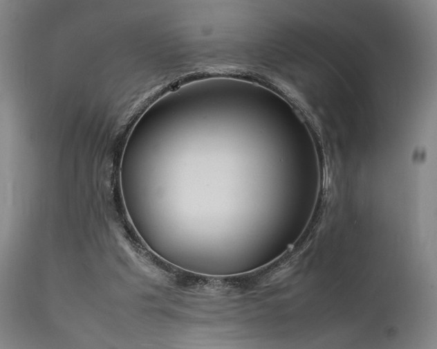 X0000111500201200907141320