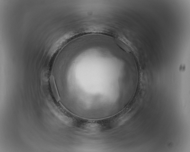 X0000111500203200907141320
