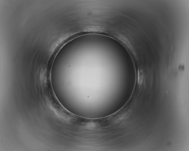 X0000111500204200907141320