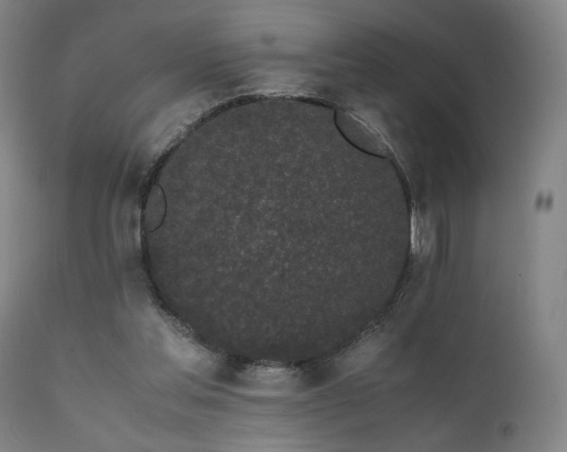 X0000111500205200907141320