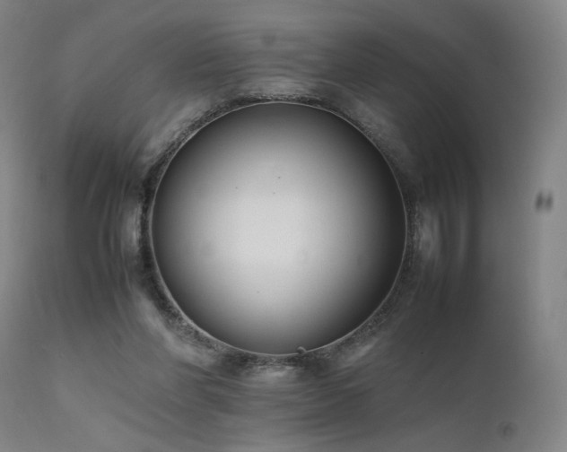 X0000111500206200907141320
