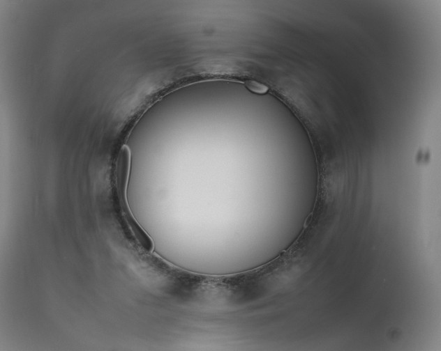 X0000111500207200907141320